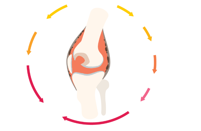 Gelenken